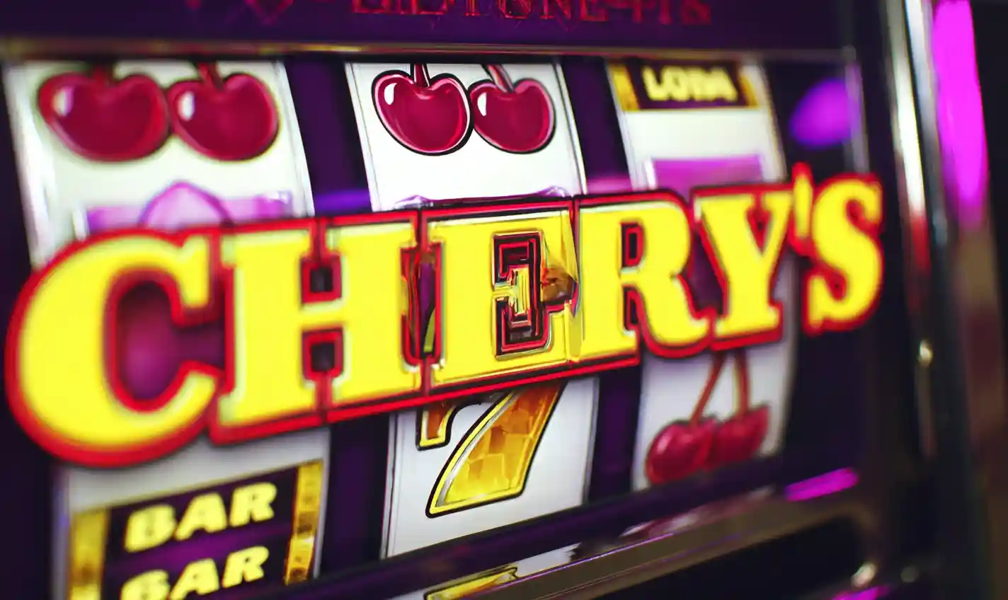 www freeslots com video poker
